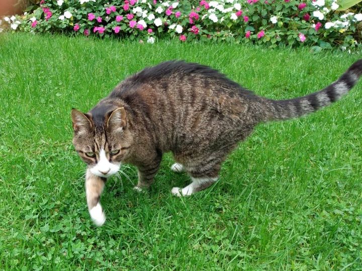 How Green Was My&nbsp;Valley