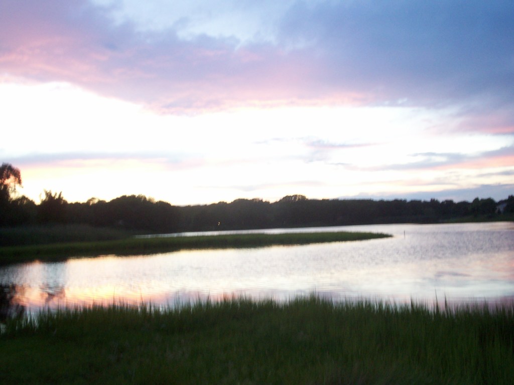 Bonac Against the World,&nbsp;Bub