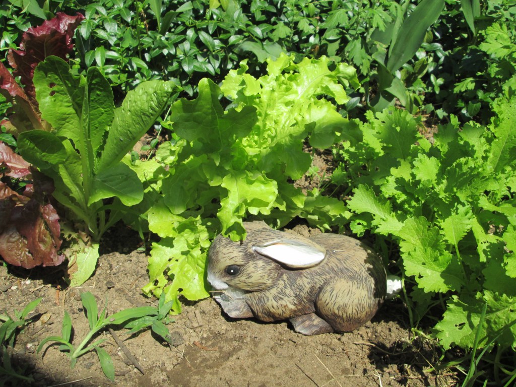 Living Off the&nbsp;Land