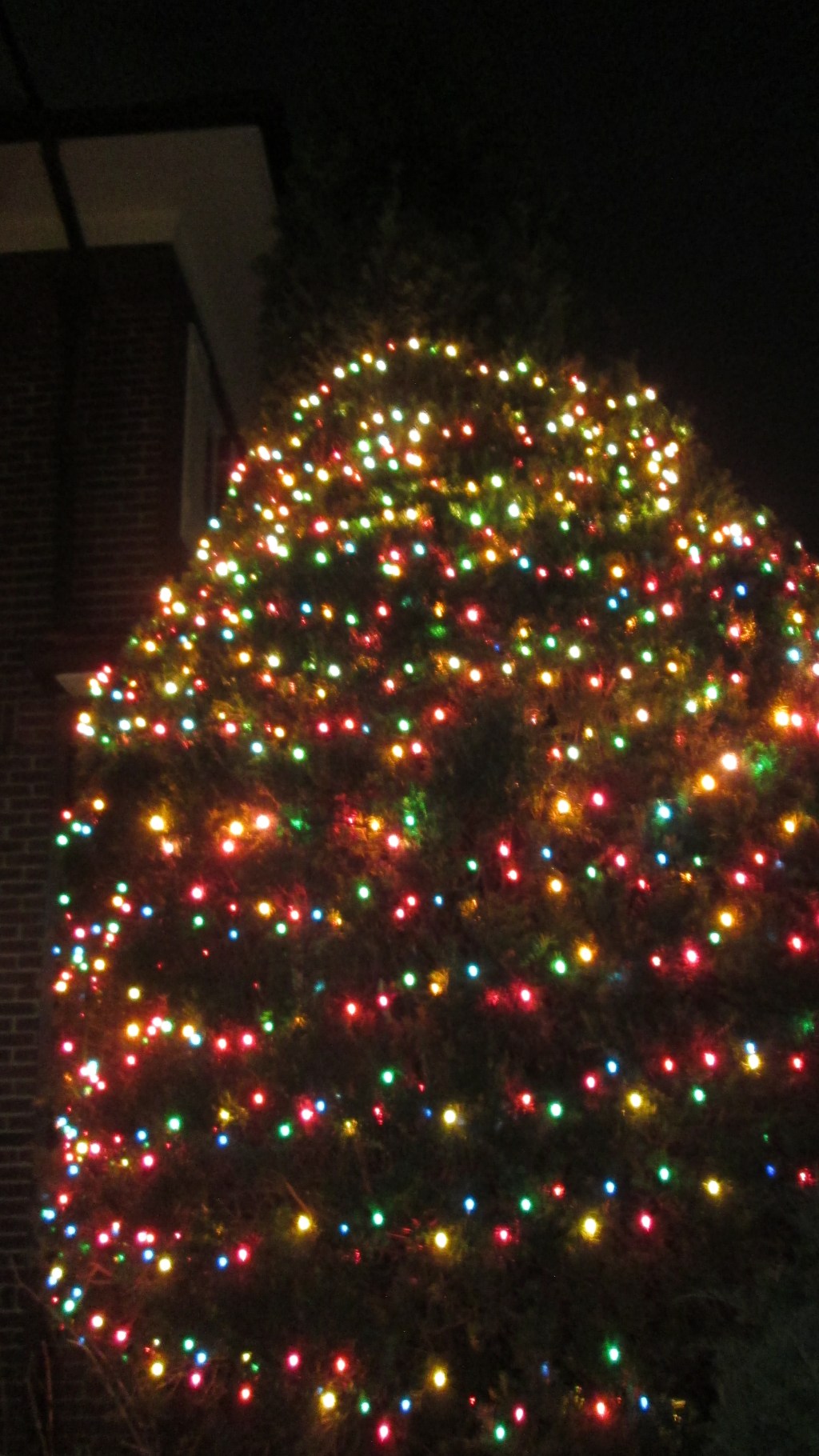 Let There Be&nbsp;Lights!